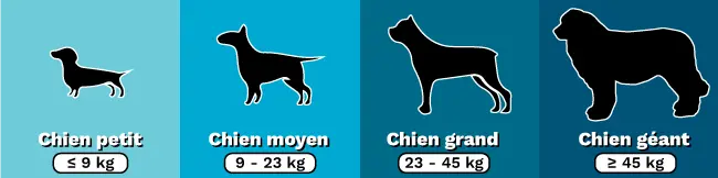 Grillage souple : Taille des chiens